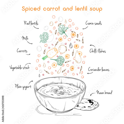 Simple recipe for soup. Spiced carrot and lentil soup. Vector