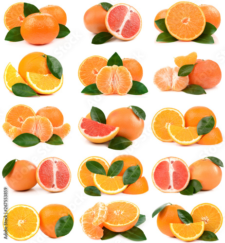 collection citrus
