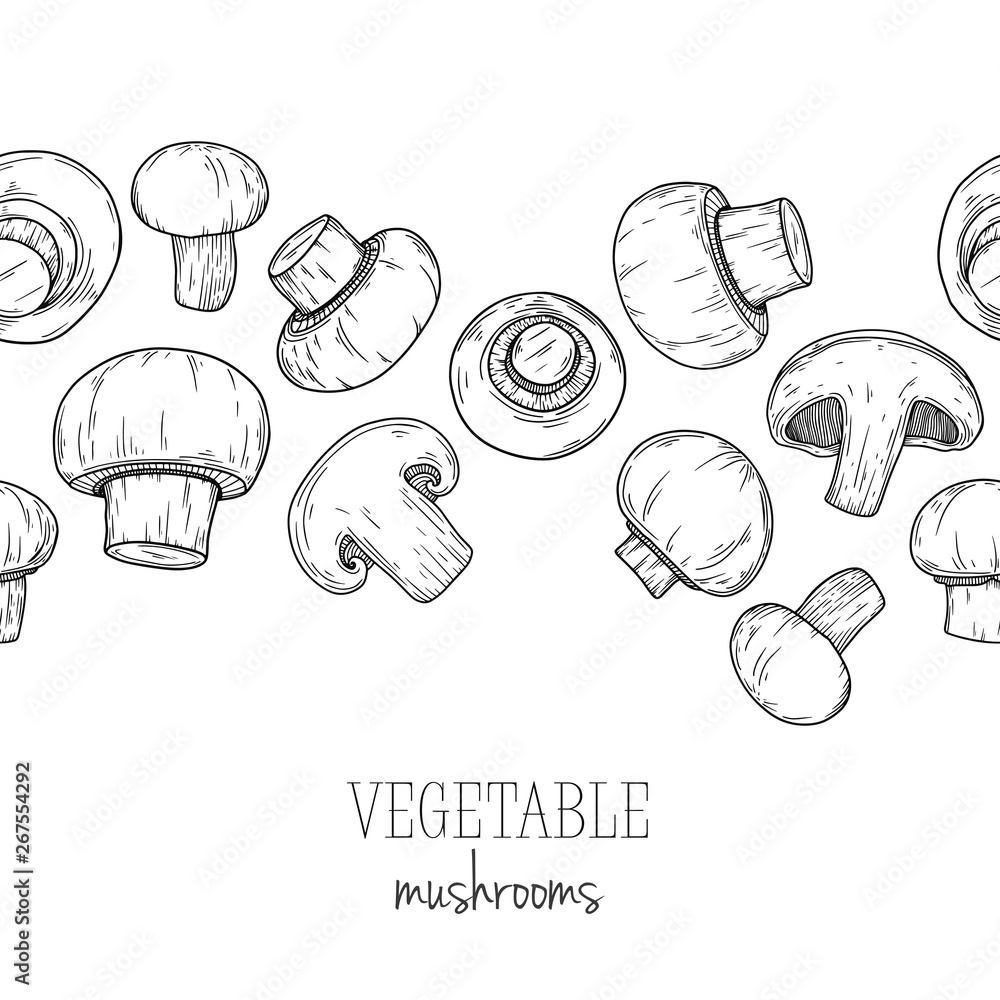 Mushroom, champignon isolated on white background. Vector illustration Mushroom, champignon isolated on white background. Vector illustration