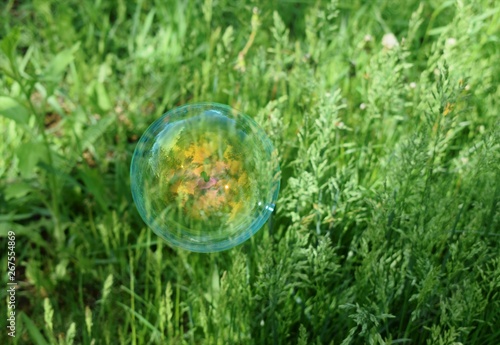 A soap bubbles on nature