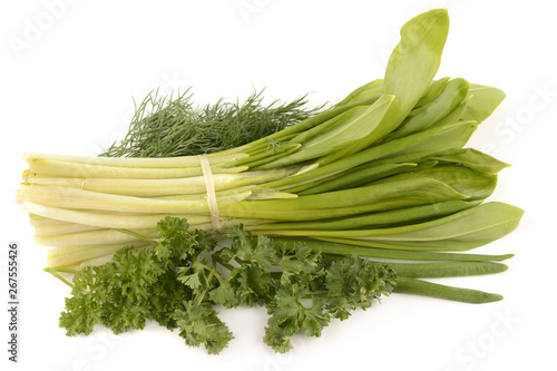 Vászonkép greens on a white background