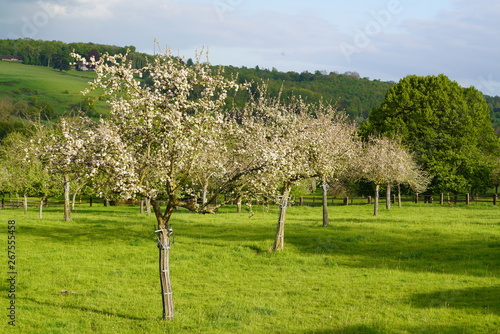 Paysage Campagne 416 photo