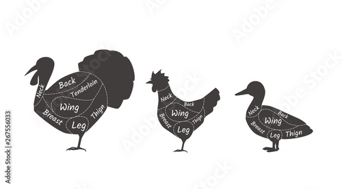 Butcher shop turkey, duck, chicken. Agricultural meat farmers market.