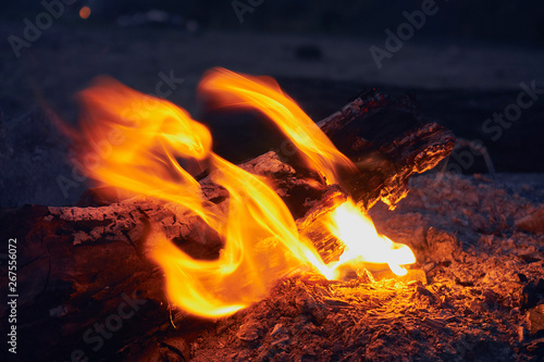 dry firewood and branches burn in a hot bonfire in nature in bright yellow and orange
