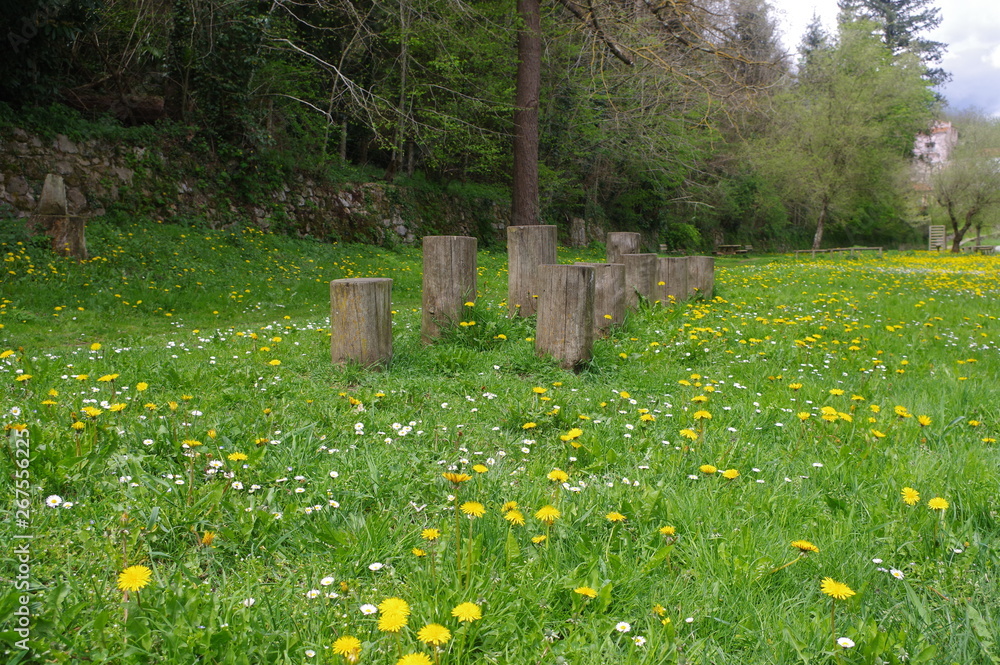 Parcours sportif nature pour la gymnastique avec agrès et échelle dans la pelouse dans la campagne Parcours sportif nature pour la gymnastique avec agrès et échelle dans la pelouse dans la campagne