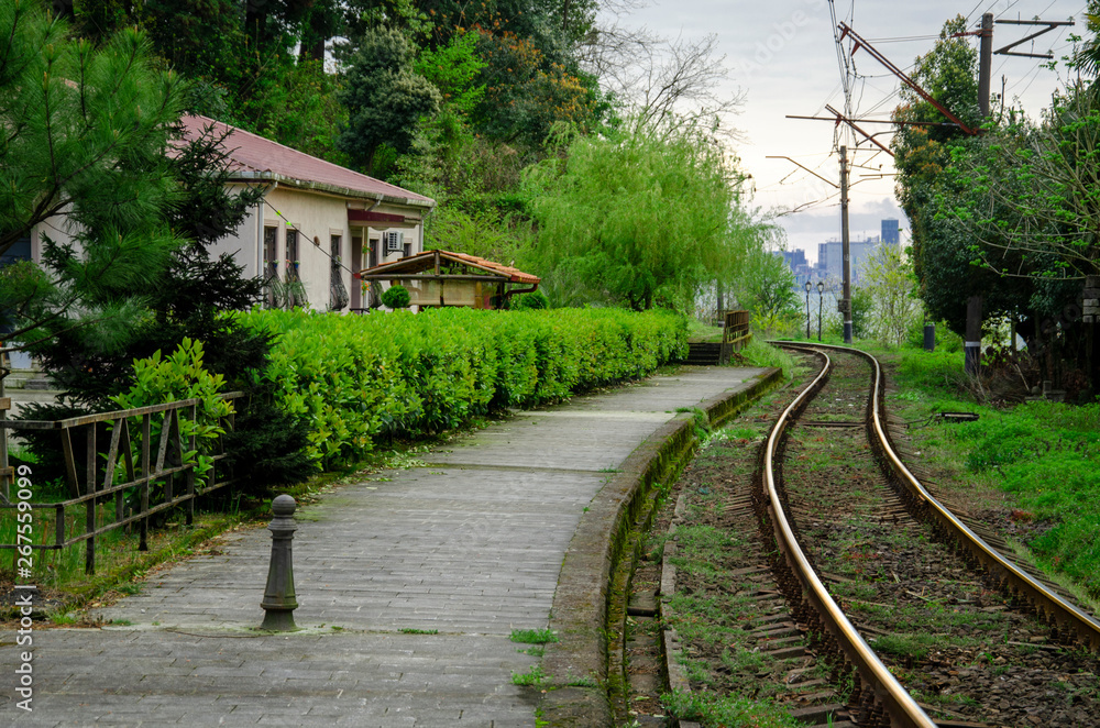 railway station in Batumi. picturesque railway through the forest of the Botanical garden
