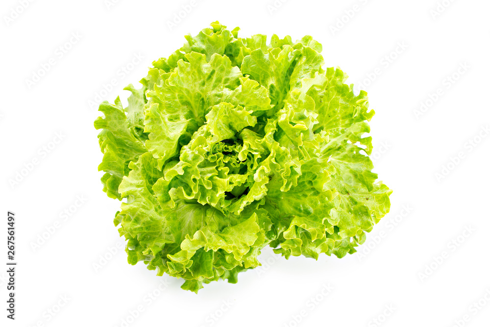 Fresh lettuce isolated on white background Fresh lettuce isolated on white background