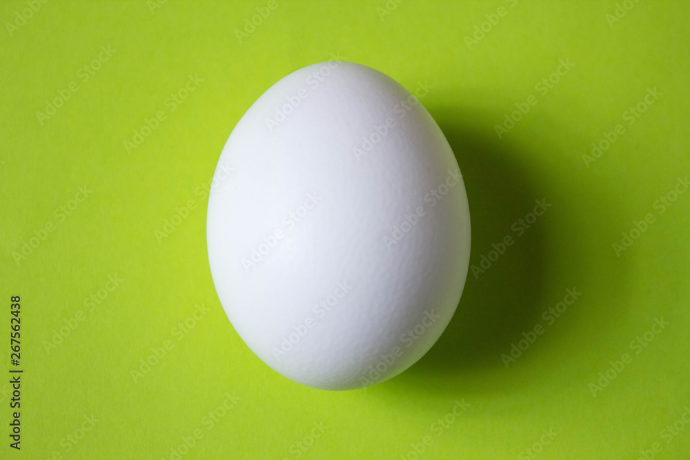 chicken egg on green background with copyspace chicken egg on green background with copyspace
