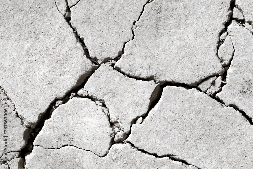 © Дарья Воронцова - Dry arid land background. Desiccated cracked ground