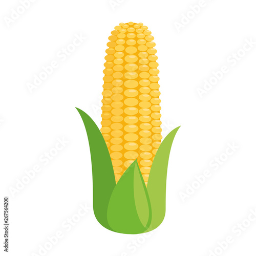 Corncob flat icon