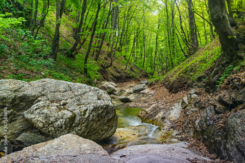 Clean mountain river that flows through forest