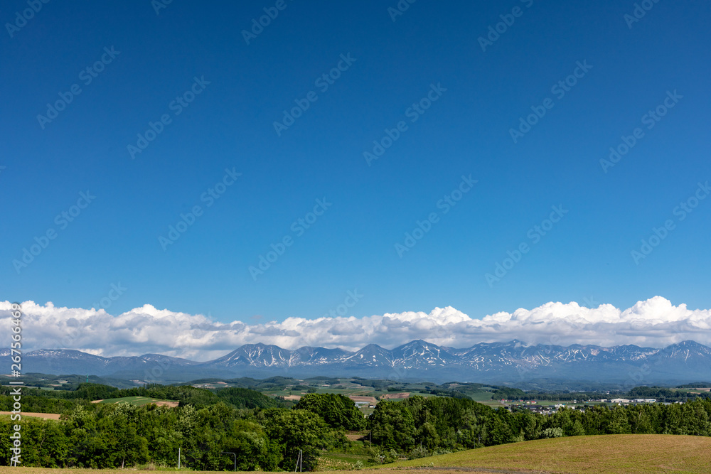 Obraz premium 美瑛の美しい風景