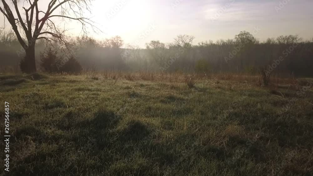 Ascending aerial of a forest in the morning mist Ascending aerial of a forest in the morning mist