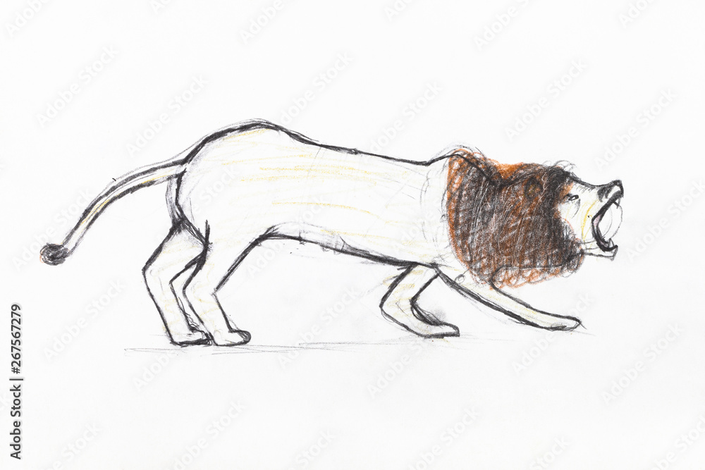 roaring lion with brown mane by pencils