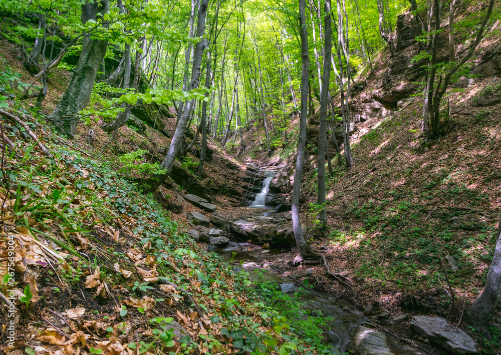 Fototapeta premium Beautiful waterfall deep in the forest.