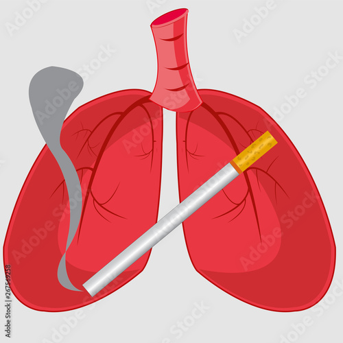 Internal organs of the person light and cigarette
