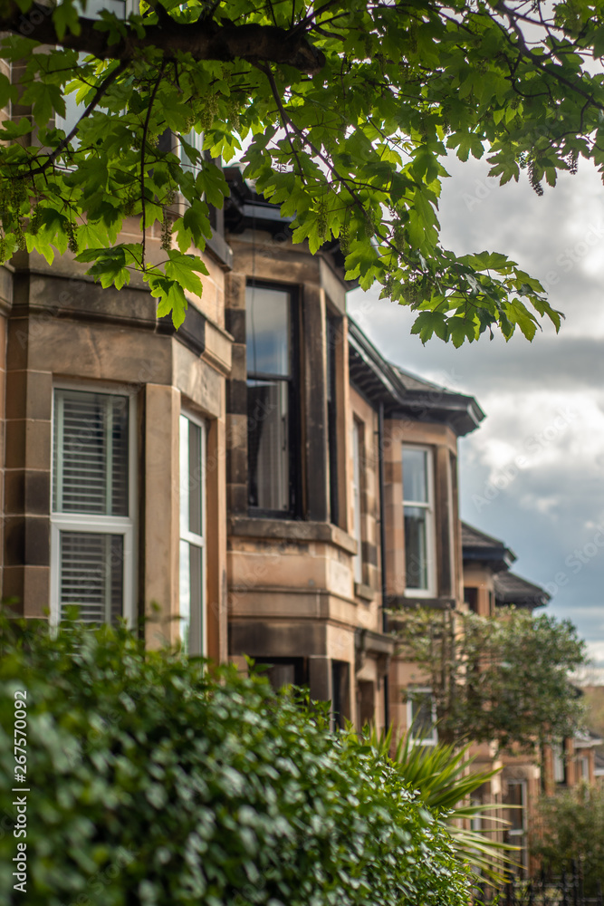 Terraced Houses in a Treelined Residential Street In Glasgow Scotland