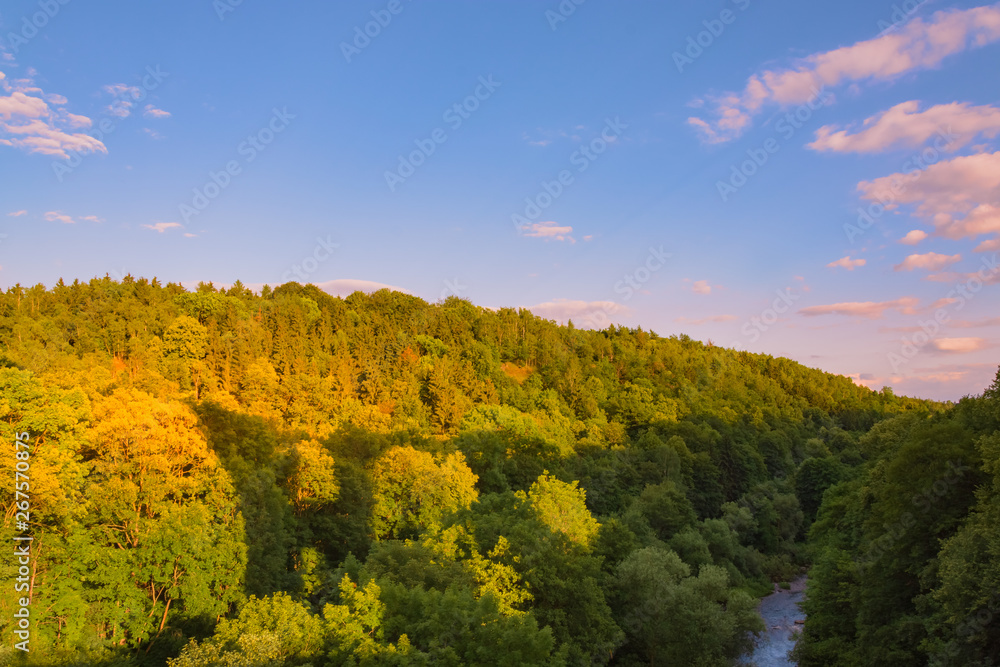 Golden light over a forested mountain