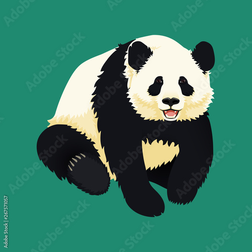 Fototapeta Naklejka Na Ścianę i Meble -  Giant panda sitting and smiling. Black and white bear. Endangered species. Vector illustration.
