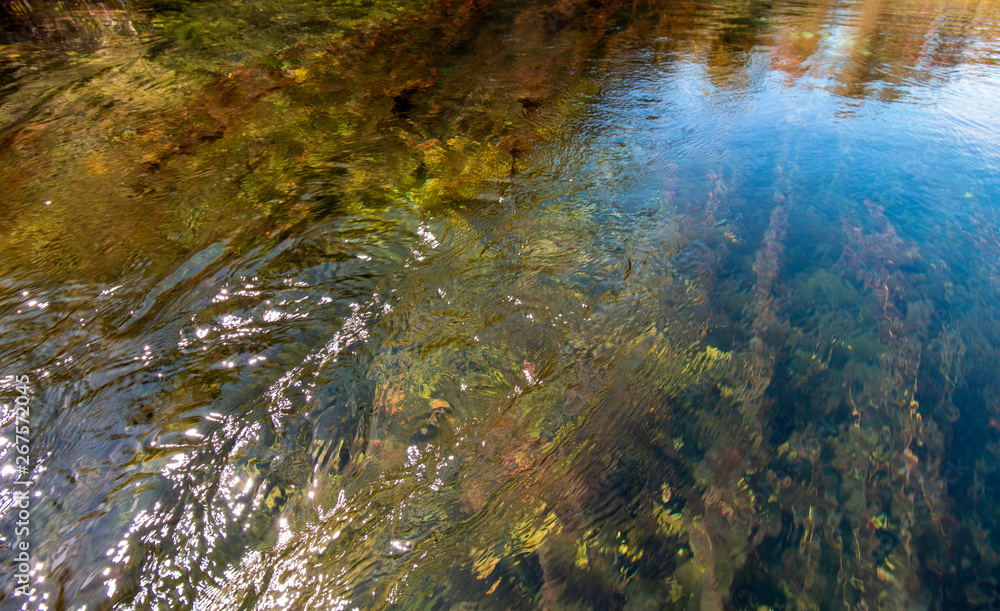 Nature as a texture. Crystal clear and unusually colored water at the Springs of St. Naum with reflections. Depth - 3 meters. Near Lake Ohrid, Macedonia.