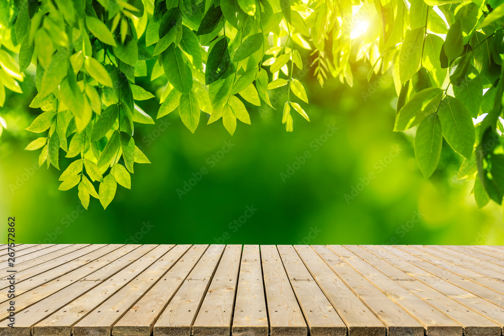 Empty wood plank table top with park green nature background Empty wood plank table top with park green nature background