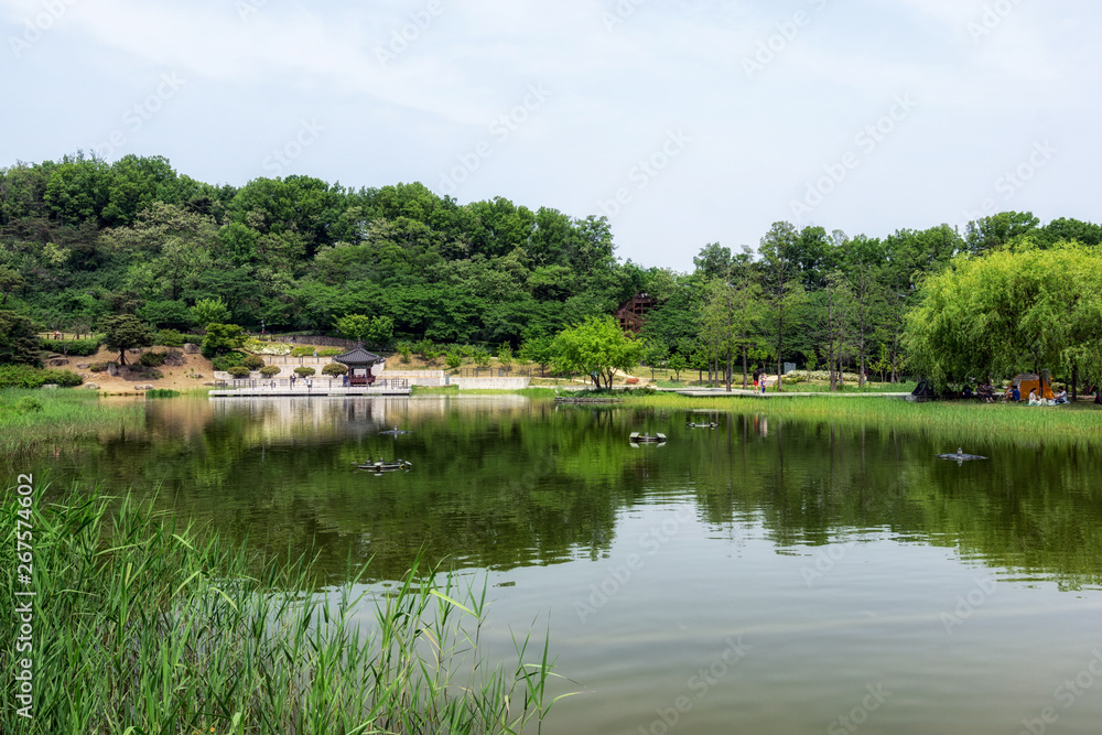 wolyeongji pond in seoul dream forest