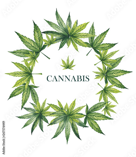 Watercolor illustration. The frame of hemp leaves are tightly arranged in a circle on a white background. photo