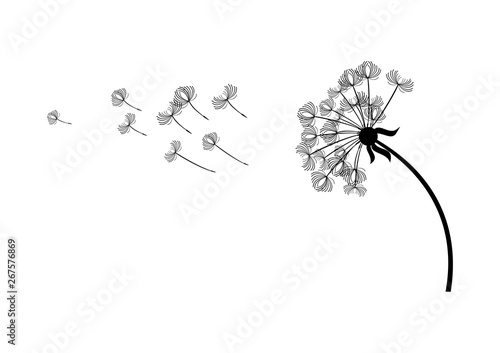 Dandelion in the wind black silhouette icon vector. Black dandelion graphic design element isolated on a white background