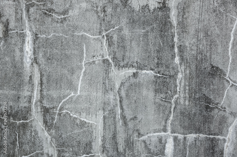 mildewed wall background mildewed wall background