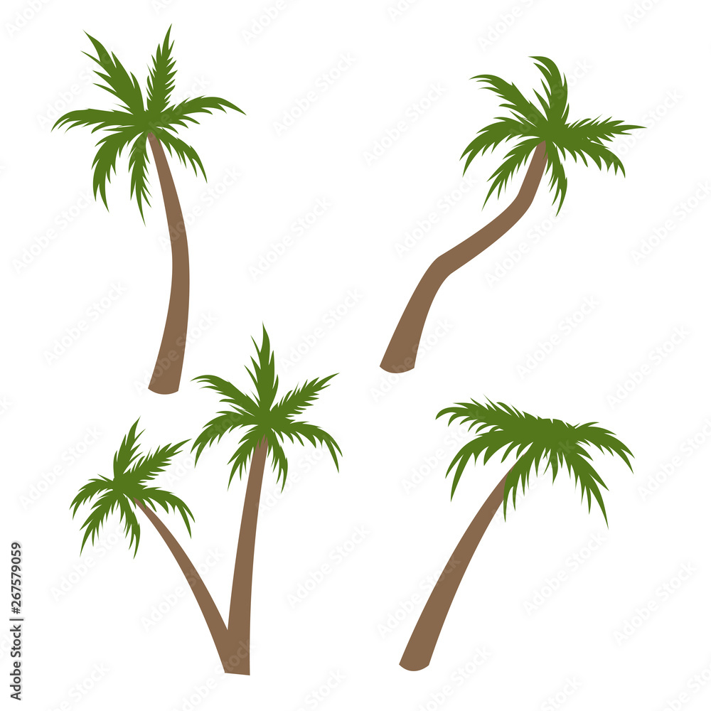 Palm tree vector illustration. Coconut tree cartoon pictures set Stock Vector | Adobe Stock Palm tree vector illustration. Coconut tree cartoon pictures set Stock Vector | Adobe Stock