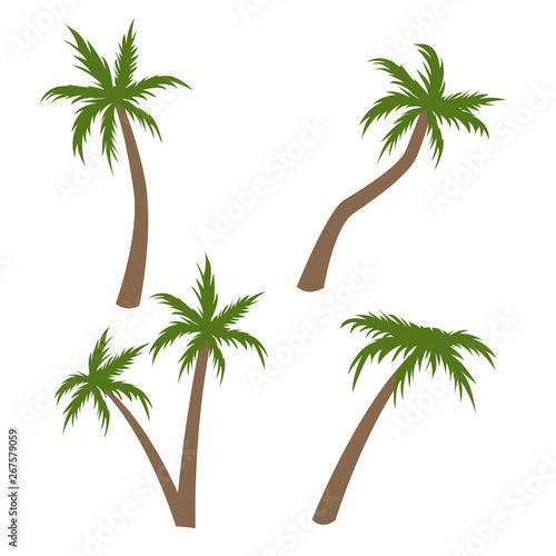 Palm tree vector illustration. Coconut tree cartoon pictures set Stock  Vector | Adobe Stock