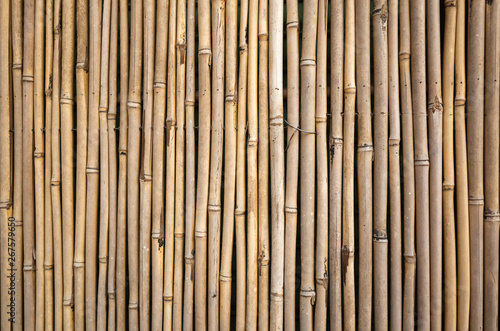 yellow bamboo wall background