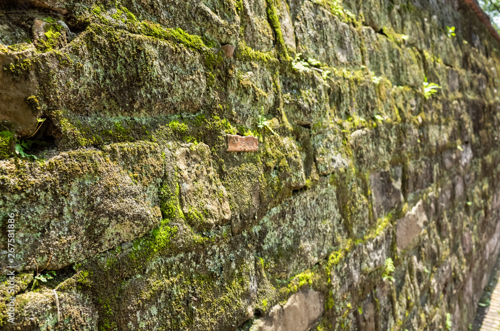 moisture aged cement brick wall background