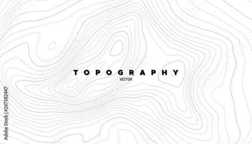 Topography relief. Abstract background. Vector illustration. Outline cartography landscape. Modern poster design. Trendy cover with wavy lines