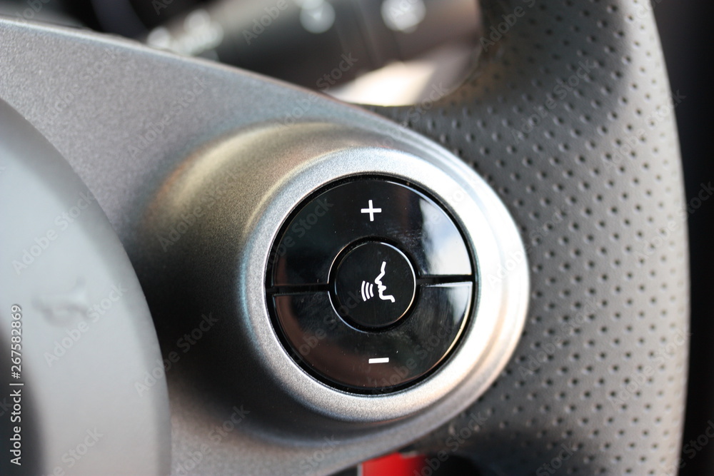 Steering wheel volume and speech buttons Steering wheel volume and speech buttons