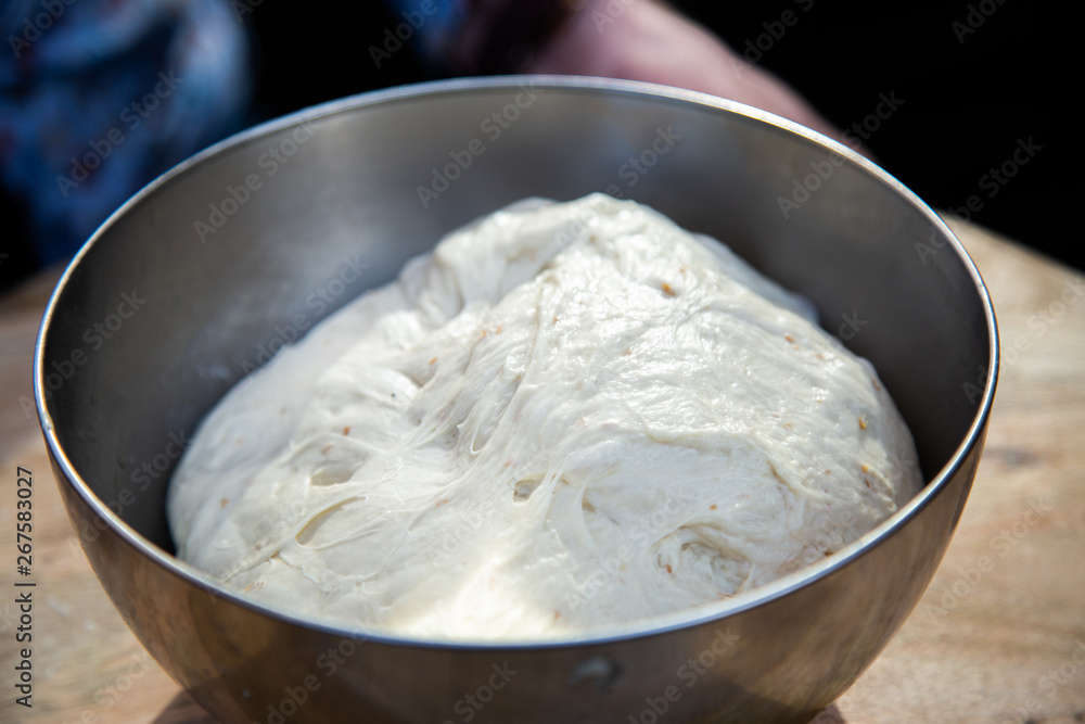 Pizza Dough Pizza Dough