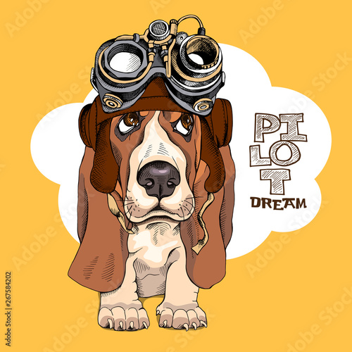 Portrait of a puppy Basset Hound in a Steampunk Pilot helmet. Vector illustration.
