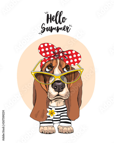 Basset Hound Dog in a striped cardigan, in a red polka dot headband and in a sunglasses. Vector illustration.