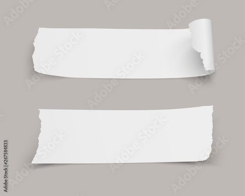 Realistic horizontal torn paper labels on transparent background. - Illustration