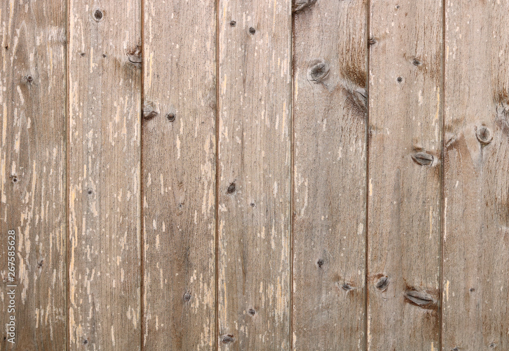 Fototapeta premium wood wall texture