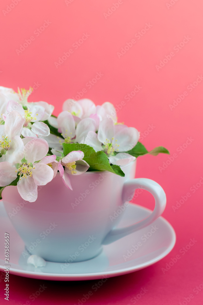White spring apple tree blooming flowers in a cup White spring apple tree blooming flowers in a cup
