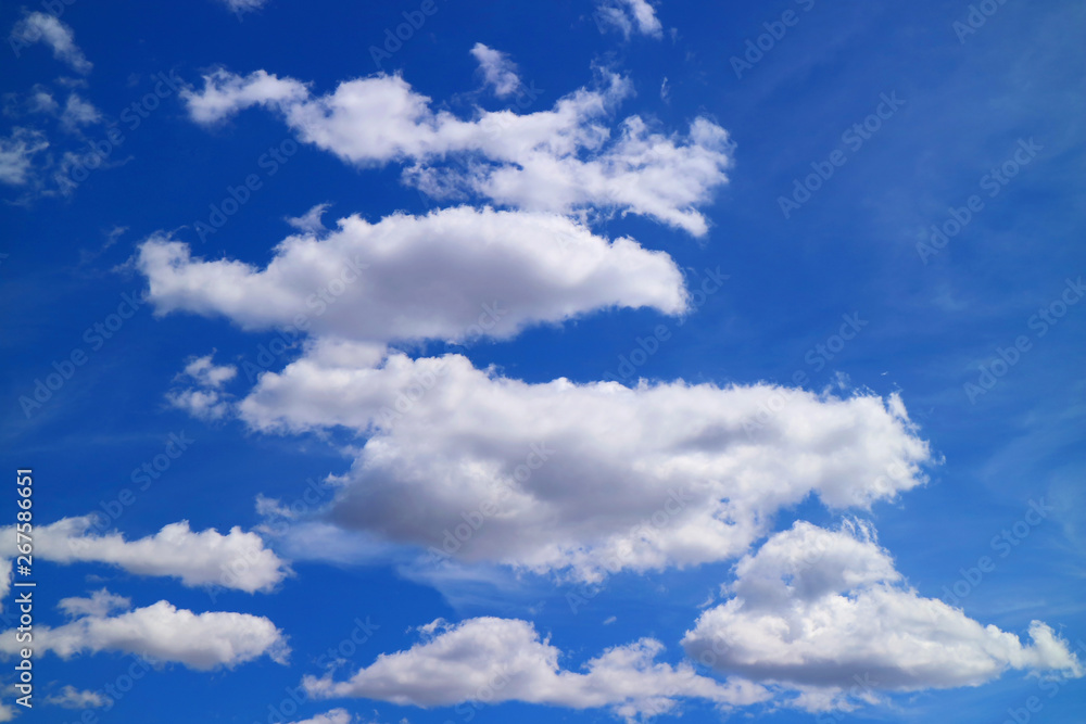 Pure white cumulus clouds floating on the vivid blue sky Pure white cumulus clouds floating on the vivid blue sky