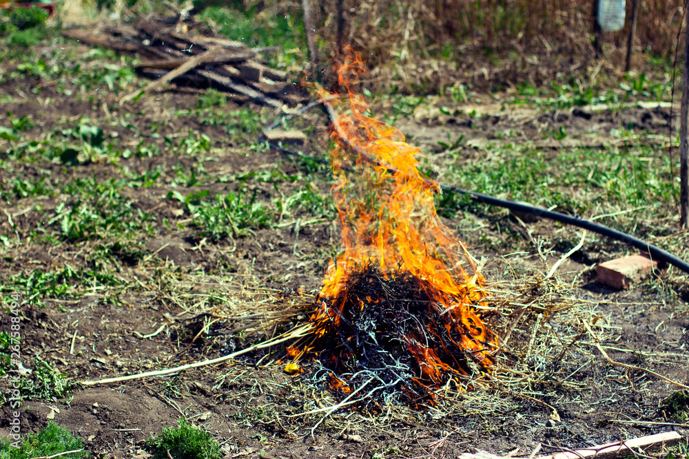 bonfire in the garden cleaning in the spring garden bonfire in the garden cleaning in the spring garden