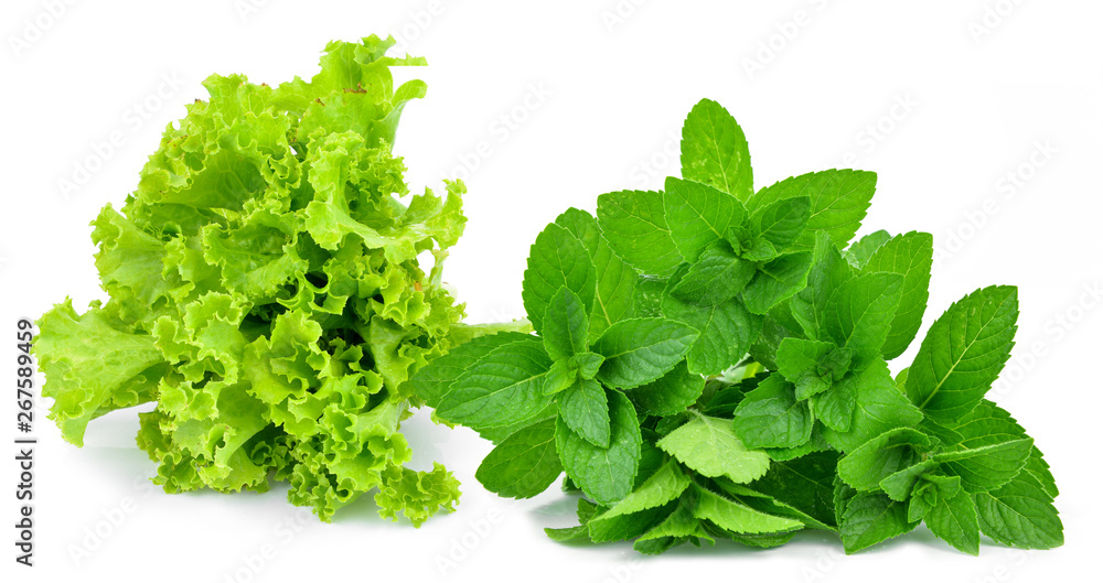 Obraz premium fresh green lettuce leaves and Fresh mint leafs isolated on white
