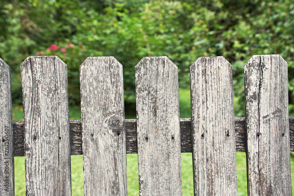 Old faded village wooden fence in a summer garden. Old faded village wooden fence in a summer garden.