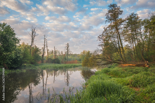 Jeziorka river at spring near Piaseczno, Masovia, Poland