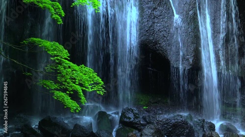 Waterfall / Tatsuzawa Fudo