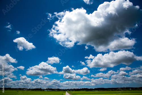 空に浮かぶ雲とどこまでも続く一本の道