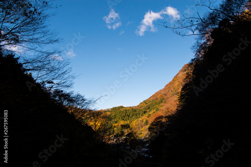 暗い谷間から暖かい日差しのある紅葉の野山を望む