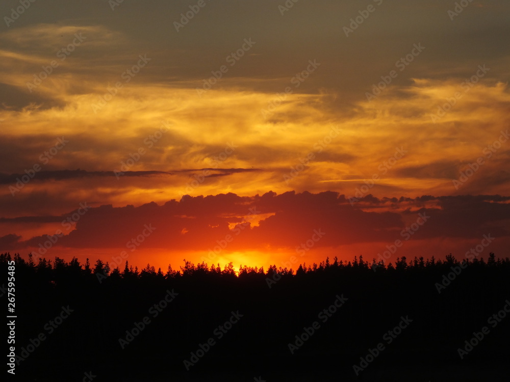 Fototapeta premium sunset